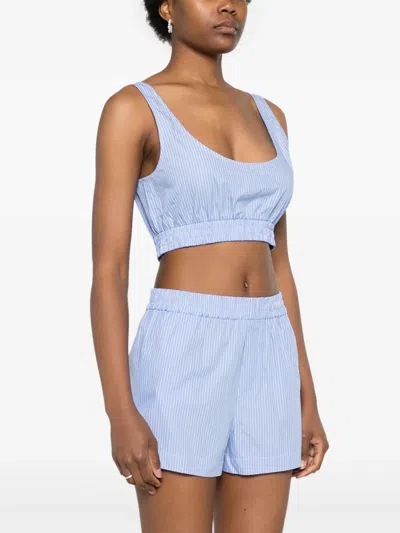 Modes Garments Striped Crop Top In Blue