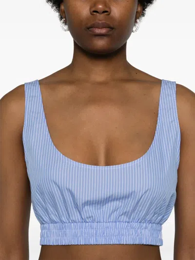 Modes Garments Striped Crop Top In Blue