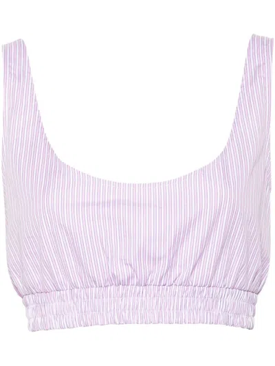 Modes Garments Striped Crop Top In Pink