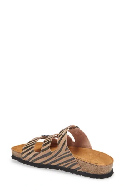 Naot Austin Water Repellent Slide Sandal In Tan Zebra Leather