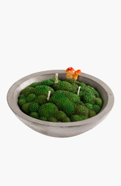 Southlake Gifts Grass Moss Scented Candle Bowl In Grass Moss