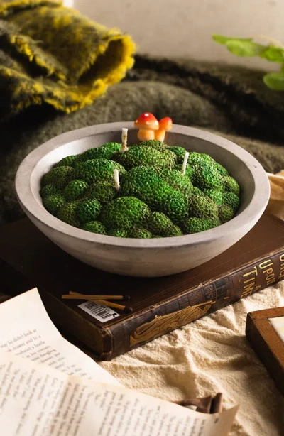 Southlake Gifts Grass Moss Scented Candle Bowl In Grass Moss