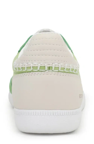 Vintage Havana Crisp Sneaker In Green Pop