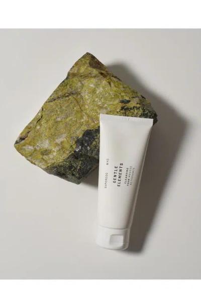 Superegg Gentle Elements Cleansing Foam In No Color