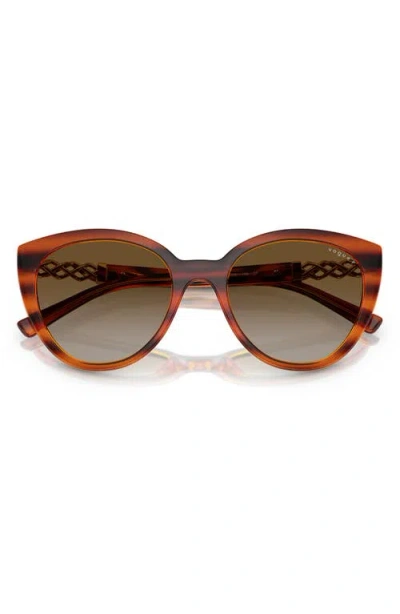 Vogue 53mm Polarized Cat Eye Sunglasses In Havana