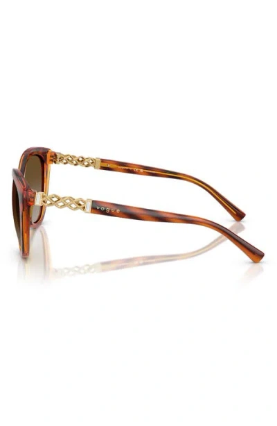 Vogue 53mm Polarized Cat Eye Sunglasses In Havana