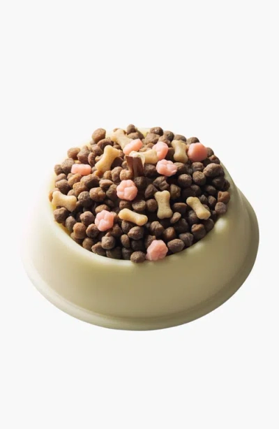 Southlake Gifts Spoof Dog Food Bowl Candle In Off-white