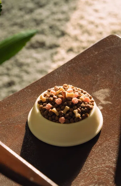 Southlake Gifts Spoof Dog Food Bowl Candle In Off-white