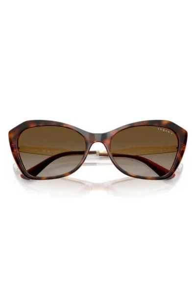 Vogue 56mm Polarized Gradient Cat Eye Sunglasses In Dark Havana