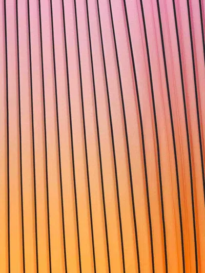 Essentiel Antwerp Multicolor Haries Pleated Skirt In Multicolour