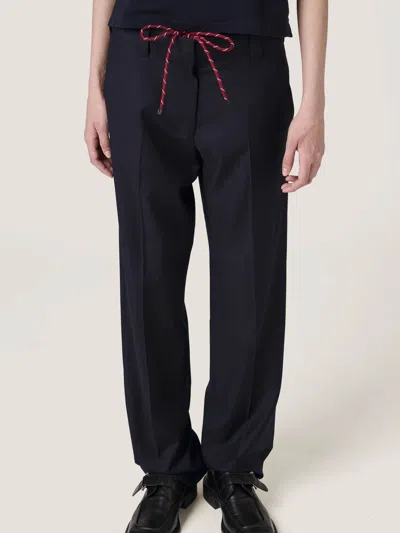 Miu Miu Batavia Pants In Blue