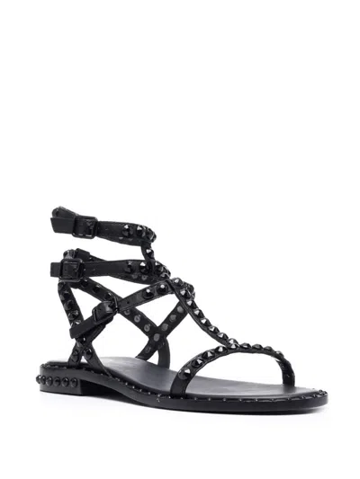 Ash Play Bis Model Sandal With Black Leather Straps