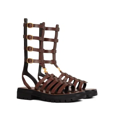 Celine Clea Triomphe Medium Sandals In Brown