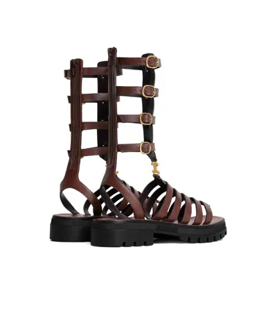 Celine Clea Triomphe Medium Sandals In Brown