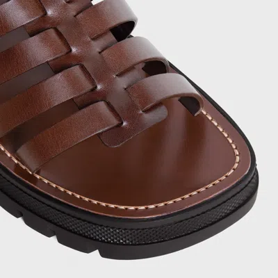 Celine Clea Triomphe Medium Sandals In Brown
