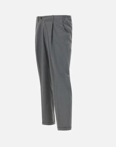 Devore Pleated Tailored Trousers In Grey