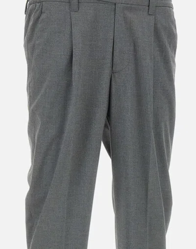 Devore Pleated Tailored Trousers In Grey