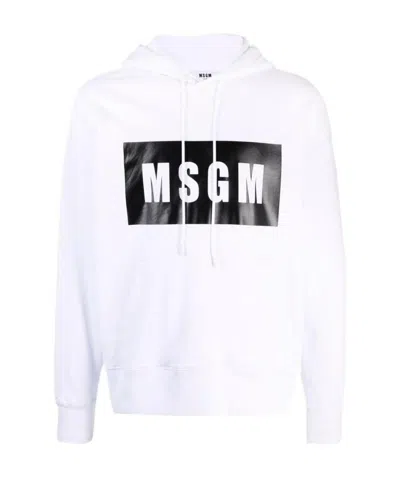 Msgm Logo-print Cotton Hoodie In White