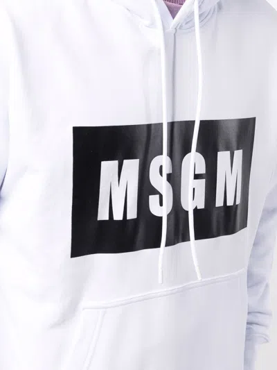 Msgm Logo-print Cotton Hoodie In White