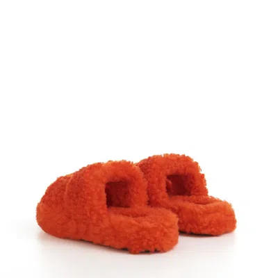 Celine Fur Slippers Triomphe Slippers In Orange