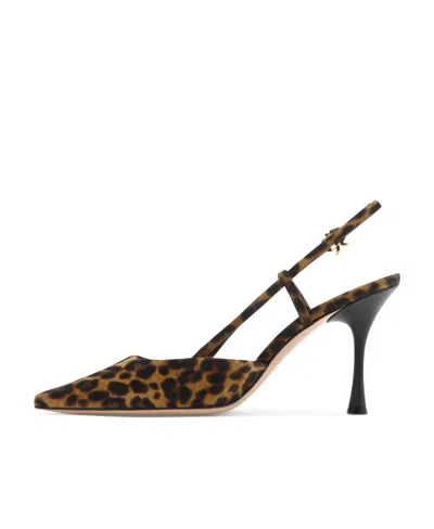 Gianvito Rossi Ascent Leopard-print Suede Slingback Pumps In Black