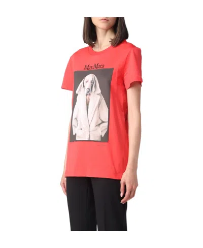Max Mara T-shirt With Round Neck And Short Sleeves In Multicolor