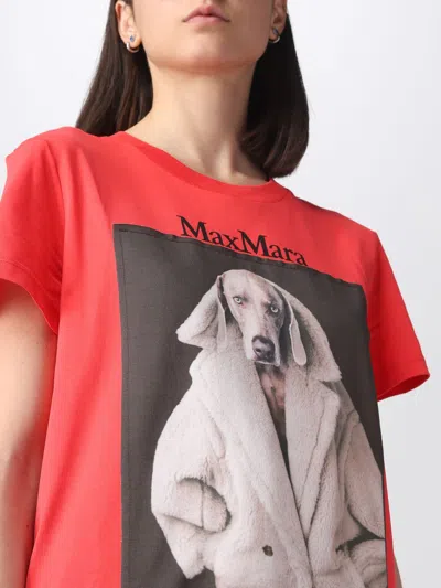 Max Mara T-shirt With Round Neck And Short Sleeves In Multicolor