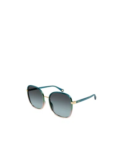Chloé Box Logo Sunglasses In Green | ModeSens