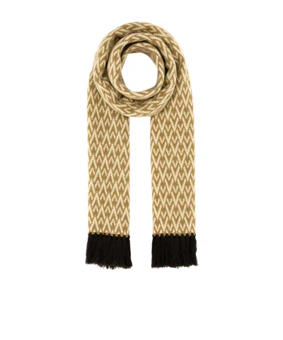 Valentino Garavani Embroidered Wool Toute La V Scarf In Brown