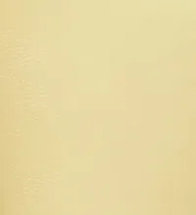 Khaite Lina Clutch In Light Yellow