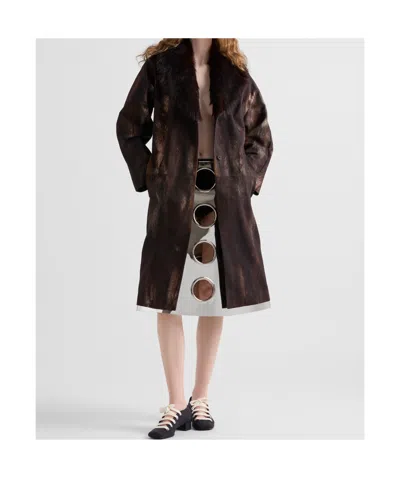 Prada Printed Cotton Coat In Cocoa Brown