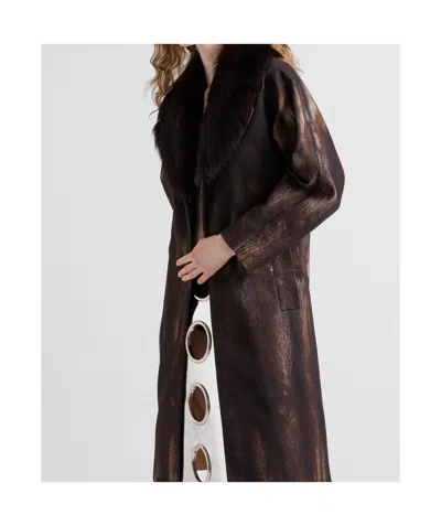 Prada Printed Cotton Coat In Cocoa Brown