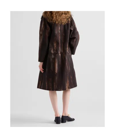 Prada Printed Cotton Coat In Cocoa Brown