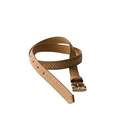 Prada Stud-embellished Leather Belt In Brown