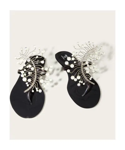 Pucci Round Head Flat Slippers In Black