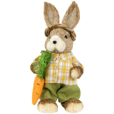Northlight Rustic Boy Rabbit With Carrot Standing Easter Figure In Brown