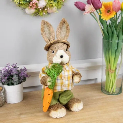 Northlight Rustic Boy Rabbit With Carrot Standing Easter Figure In Brown