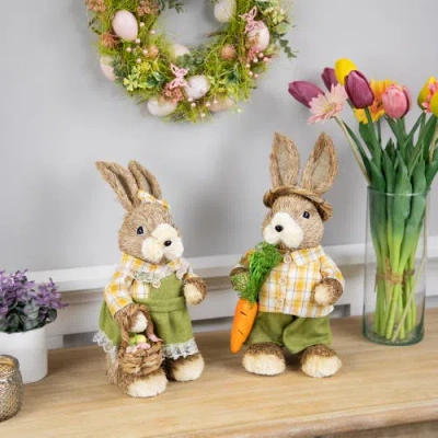 Northlight Rustic Boy Rabbit With Carrot Standing Easter Figure In Brown