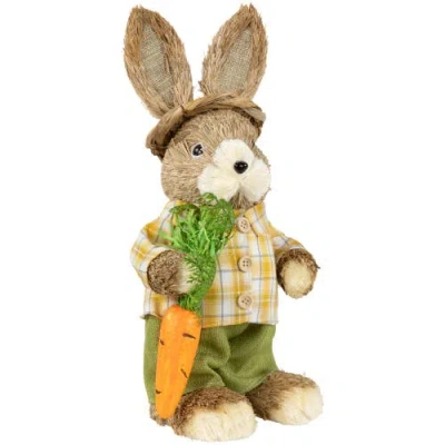 Northlight Rustic Boy Rabbit With Carrot Standing Easter Figure In Brown