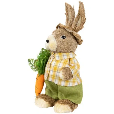 Northlight Rustic Boy Rabbit With Carrot Standing Easter Figure In Brown