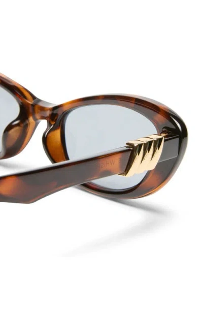 Le Specs The Whisperer In Dark Tort