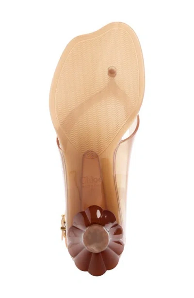 Chloé Chloe Women Biscuit Tpu Chloe Jelly Thong Sandals In Brown