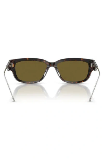 Diesel ® Geck-d 56mm Rectangular Sunglasses In Brown