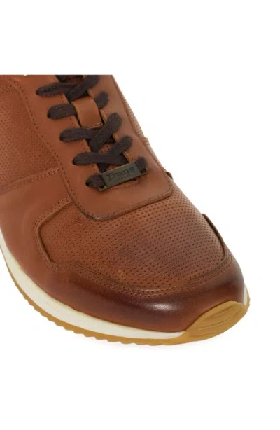 Dune London Trilogy Sneaker In Brown