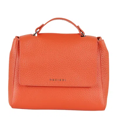 Orciani Small Sveva Logo Shoulder Bag In Red