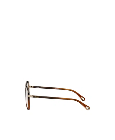 Chloé Oversized-frame Glasses In White