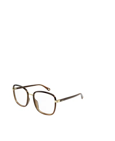 Chloé Square-frame Glasses In Brown