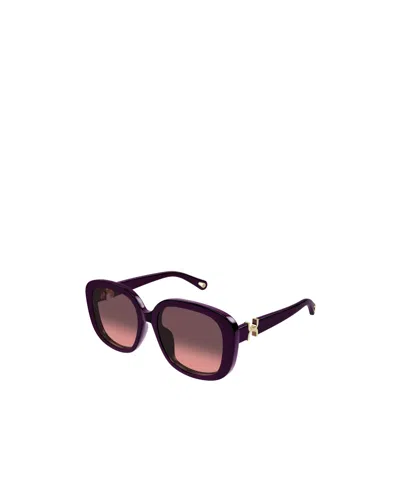Chloé Ch0303sk Marcie-linea Sunglasses In Purple