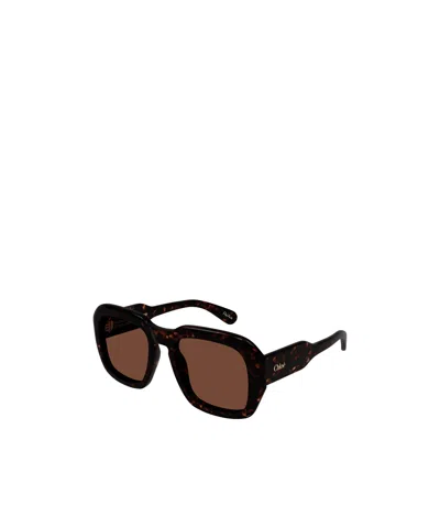 Chloé Full-frame Sunglasses In Black