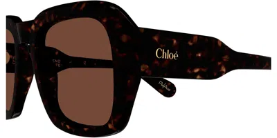 Chloé Full-frame Sunglasses In Black